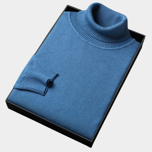 Daniel | Herren Frühlings Rollkragenpullover