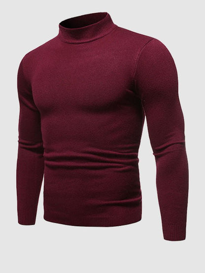 Alexander | Men’s Slim Fit Roll-Neck Sweater