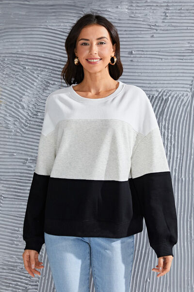 Color Block Round Neck Long Sleeve Sweatshirt Sweatshirts & Hoodies Trendsi Light Gray S 